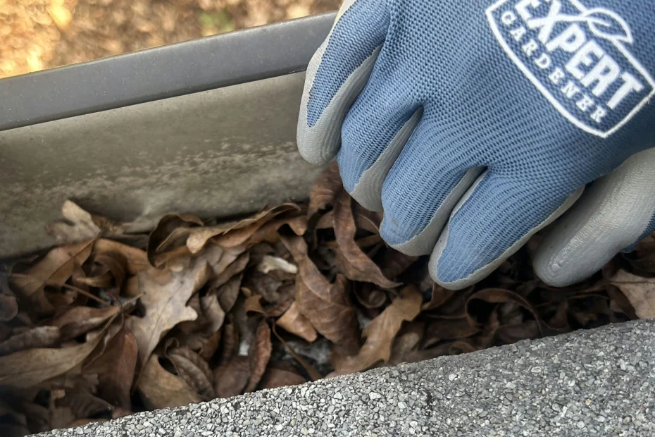 Des Plaines Gutter Cleaning