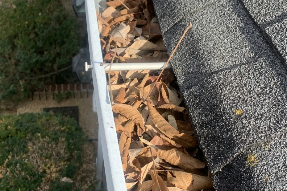 Des Plaines Gutter Cleaning