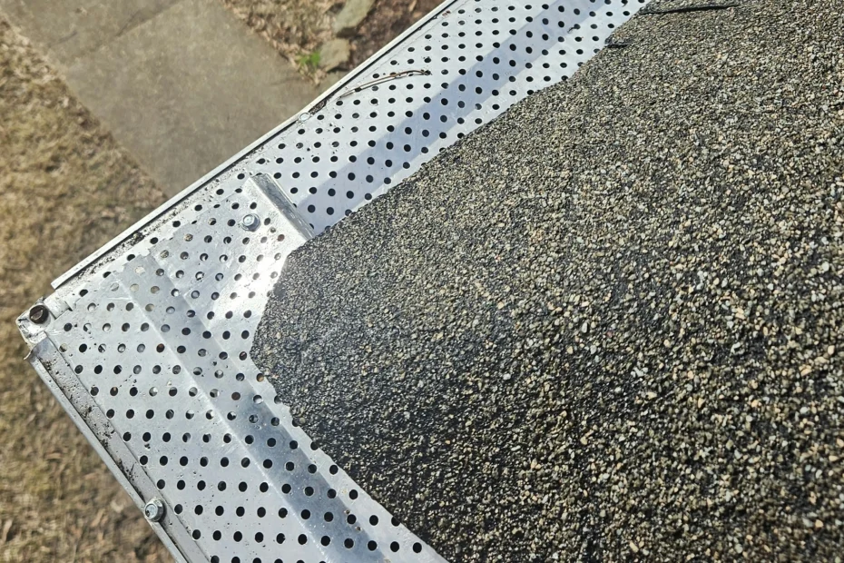 Des Plaines Gutter Cleaning