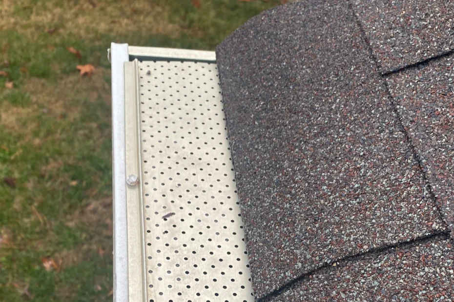 Des Plaines Gutter Cleaning