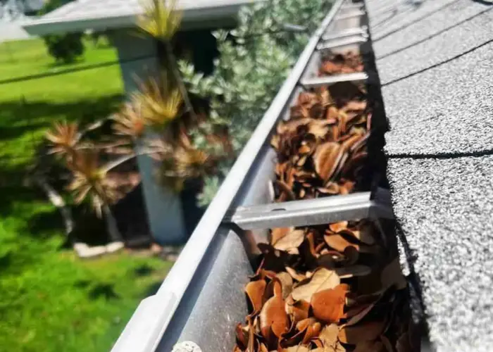 Des Plaines gutter cleaning home page